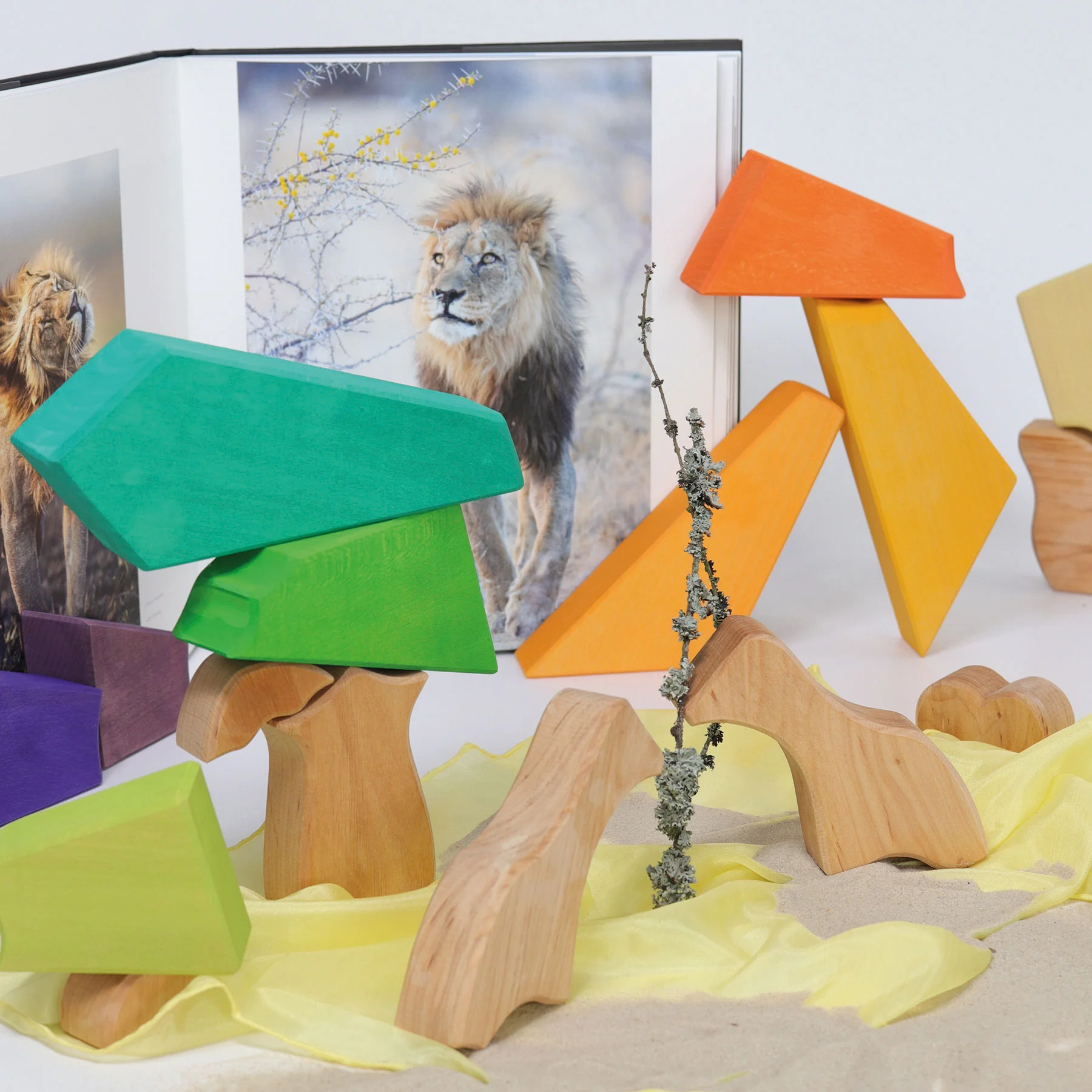 Bauspiel Regenbogenlöwe - Image 4