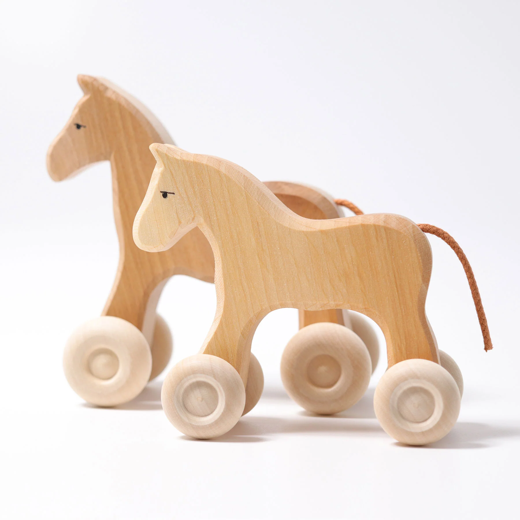Pferd Willy - Image 6